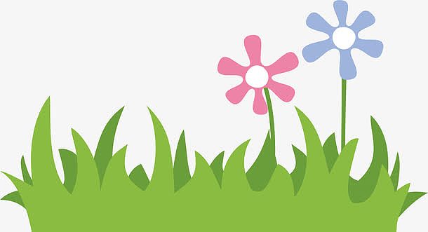 野花小草蓝天小草