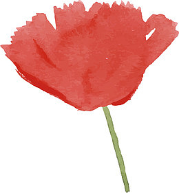 复古红花紫红花瓣