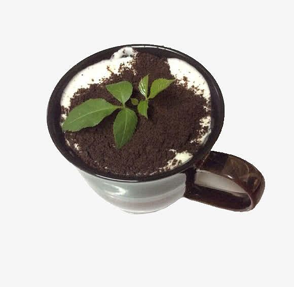 盆栽样式的创意奶茶