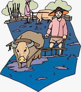 带着斗笠在蓝色田地里耕作的农民