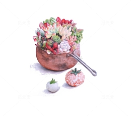 小清新插画广告设计卡通多肉盆栽