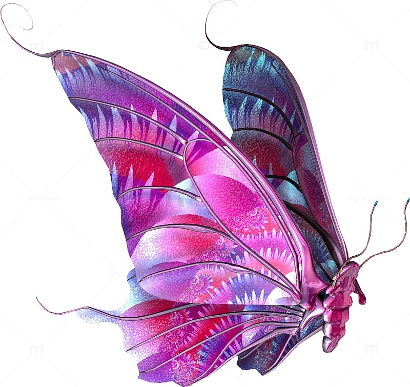 彩色的透明背景蝴蝶