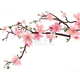 桃花手绘桃花三生三世十里桃花