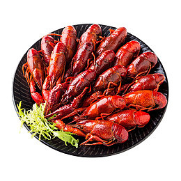 麻辣口味小龙虾摄影