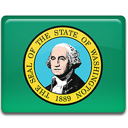 华盛顿国旗American-states-icons