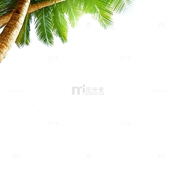 椰子树