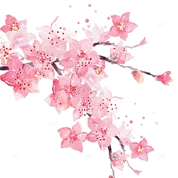 樱花节装饰樱花枝丫