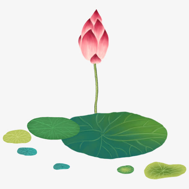 关键词 : 荷花,荷叶,绿叶,植物,矢量图,装饰,矢量装饰[声明] 觅元素