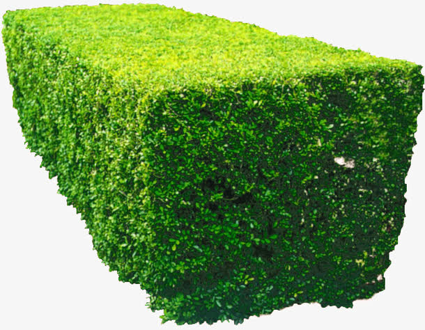 关键词 : 绿化带[声明] 觅元素所有素材为用户免费分享产生,若发现您