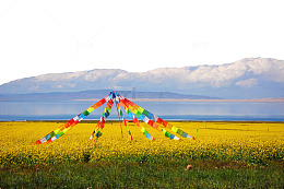 著名青海湖景点