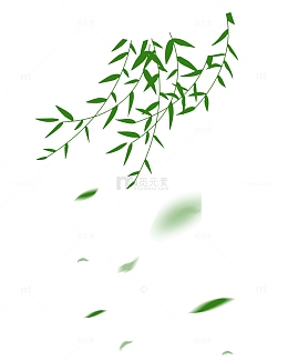 春天柳枝手绘插画