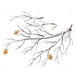 手绘雪枝树枝树叶