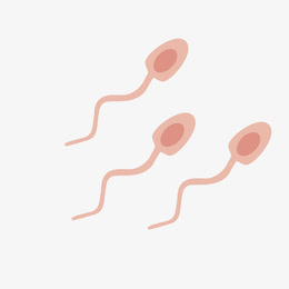 卡通精子png下载