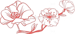 矢量线描桃花花枝花瓣素材