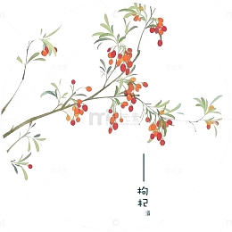 手绘枸杞