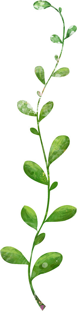 花草标签手绘装饰素材