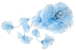 水彩花卉素材花草图案
