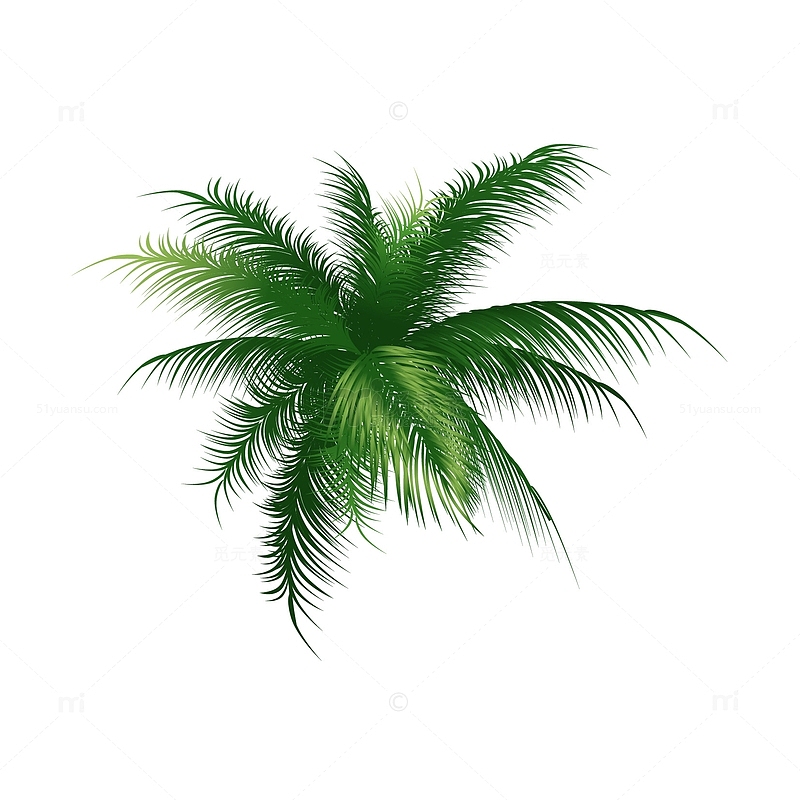 椰子树矢量素材