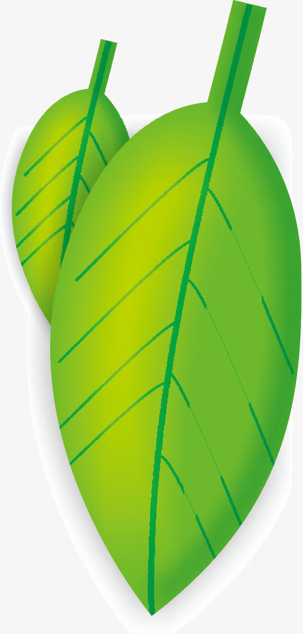 树叶免抠素材免费下载_觅元素51yuansu.com