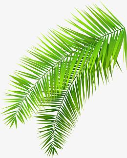 png棕色中国风窗花装饰免抠aipngpng植物卡通蘑菇pngpng手绘绿叶热带