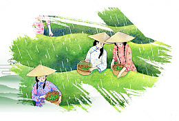 谷雨节气简约采茶海报