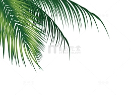 树枝