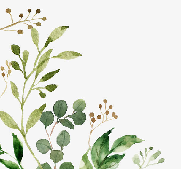 手绘植物免抠素材免费下载_觅元素51yuansu.com