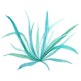绿草手绘水彩小清新动物植物装饰