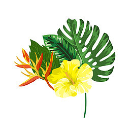 热带植物花卉矢量图