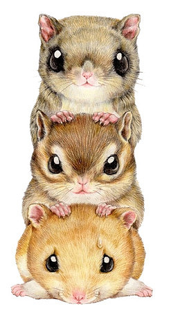 装饰浪漫 卡通小老鼠