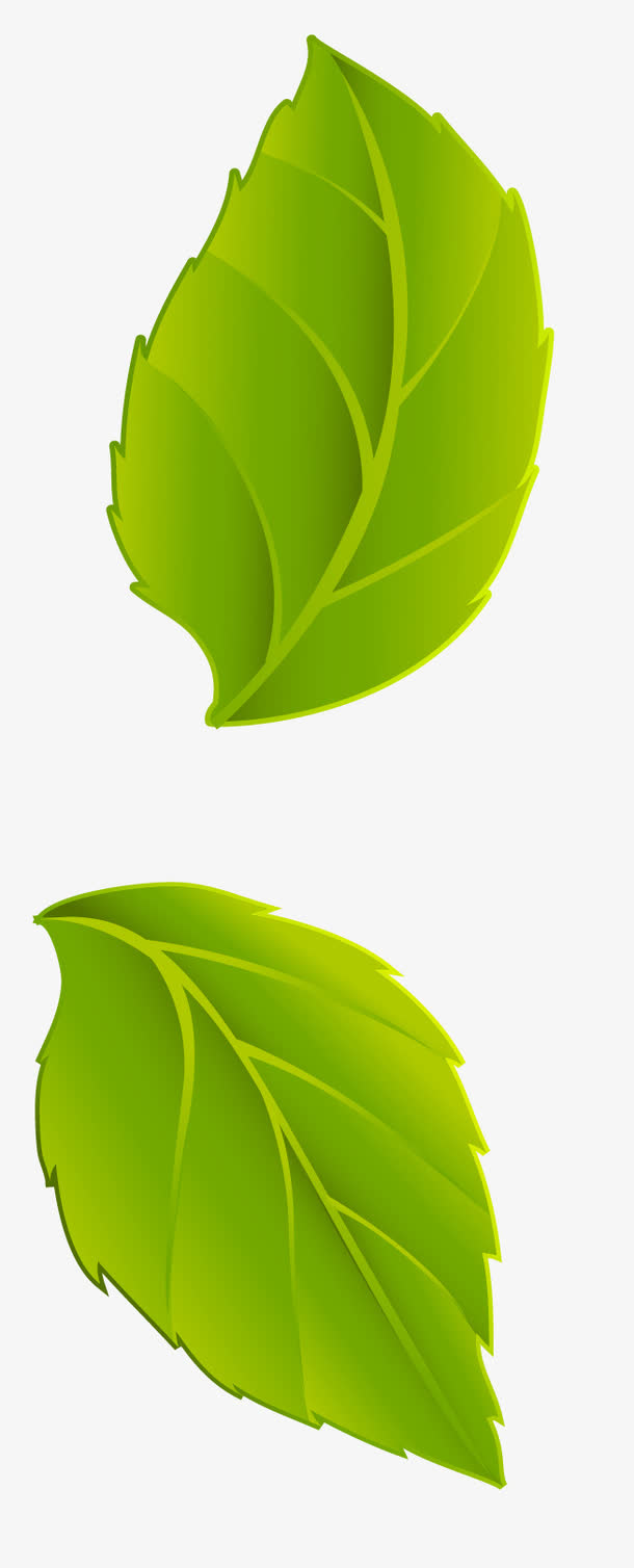 矢量叶片素材免费下载_觅元素