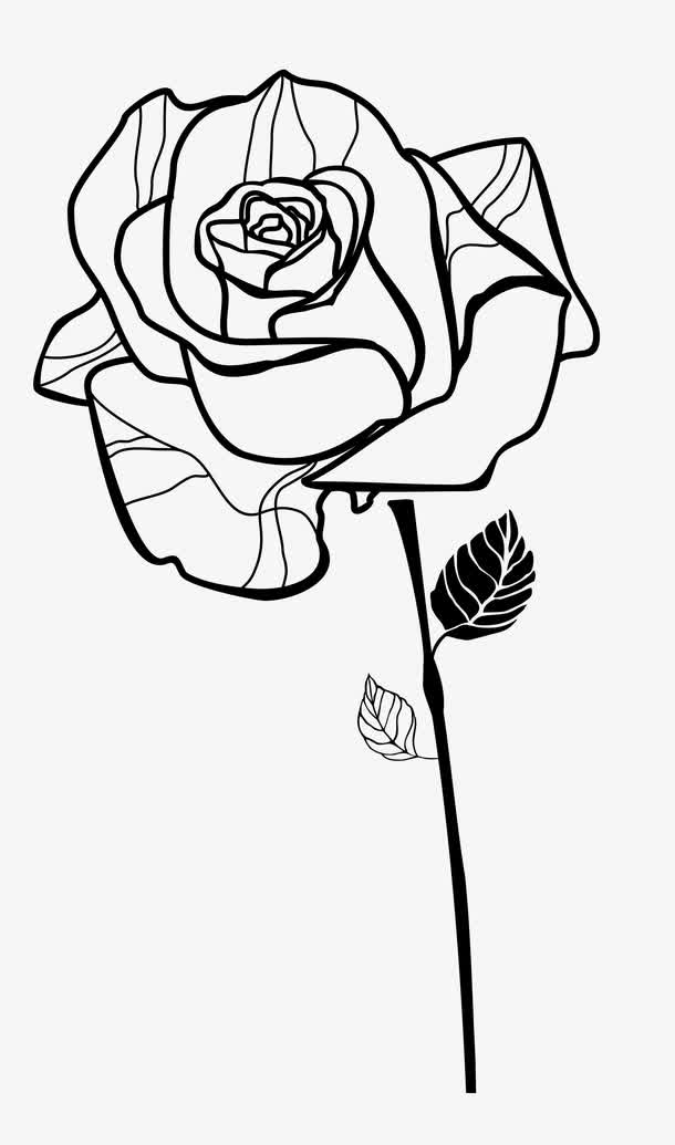 关键词 : 玫瑰,线稿玫瑰,矢量玫瑰,花卉[声明] 觅元素所有素材为用户