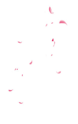 飞花