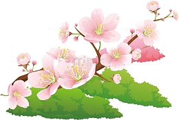 春分花朵美丽春天多彩自然矢量素