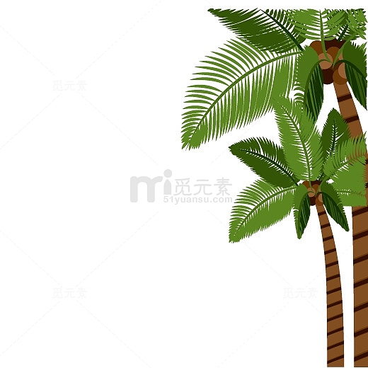 右侧棕色条纹椰棕树绿色树叶