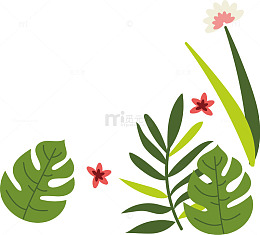 夏天可爱海滩植物矢量素材