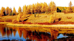 河北承德木兰围场六