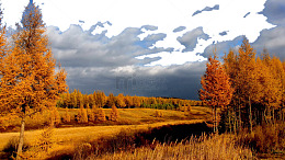 河北承德木兰围场七