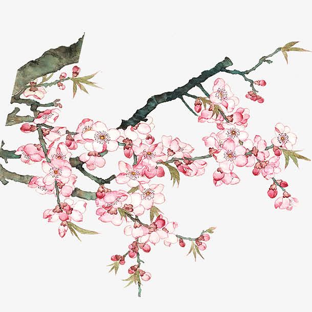 春季踏青旅行桃花花朵花卉图案水