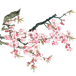 春季踏青旅行桃花花朵花卉图案水