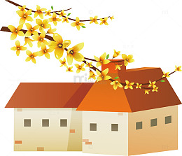 春分房屋迎春花美丽春天多彩自然