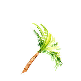 粽椰树水彩灰色树干黄绿色叶子