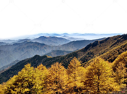 秋天的自然景区风景