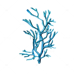 卡通装饰手绘海洋生物海报设计