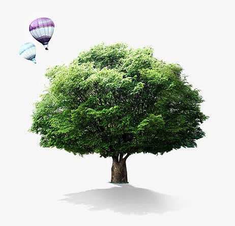 热气球和树