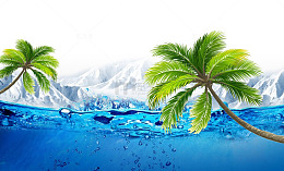 海岛椰树