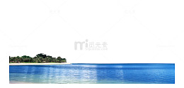 海滩椰树