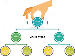 圆形组织结构图