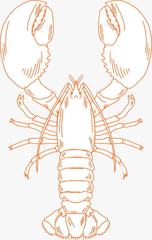 卡通装饰线条海洋生物海报设计大