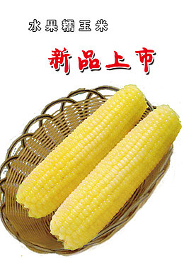 糯玉米图片